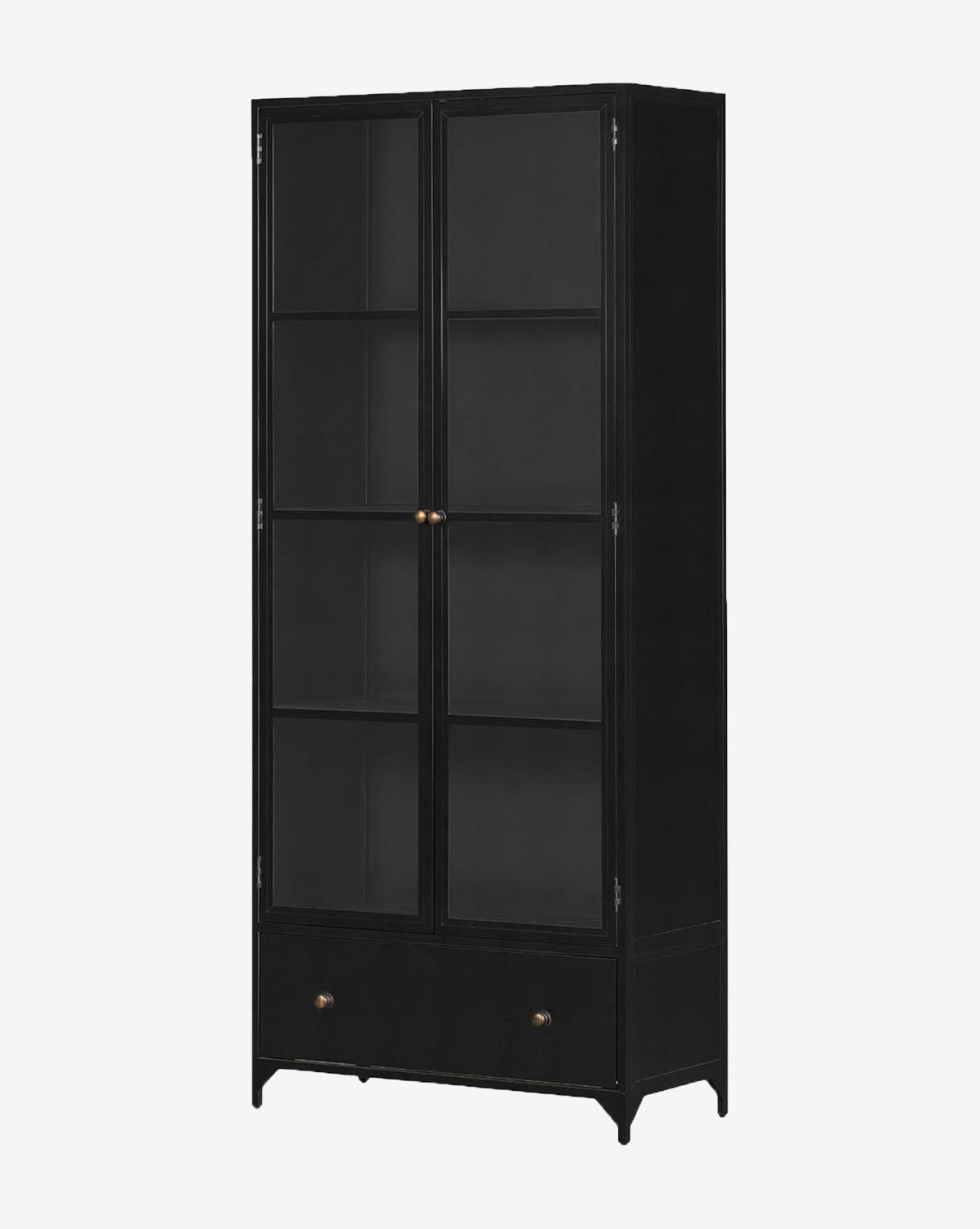 Industrial Matte Iron Cabinet with Brass Hardware & Crescent Legs for Living Room