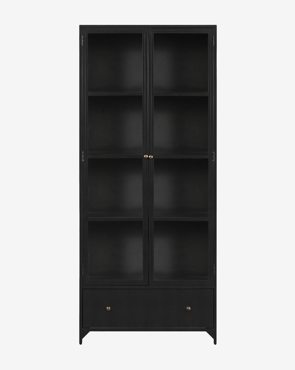 Industrial Matte Iron Cabinet with Brass Hardware & Crescent Legs for Living Room