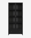 Industrial Matte Iron Cabinet with Brass Hardware & Crescent Legs for Living Room
