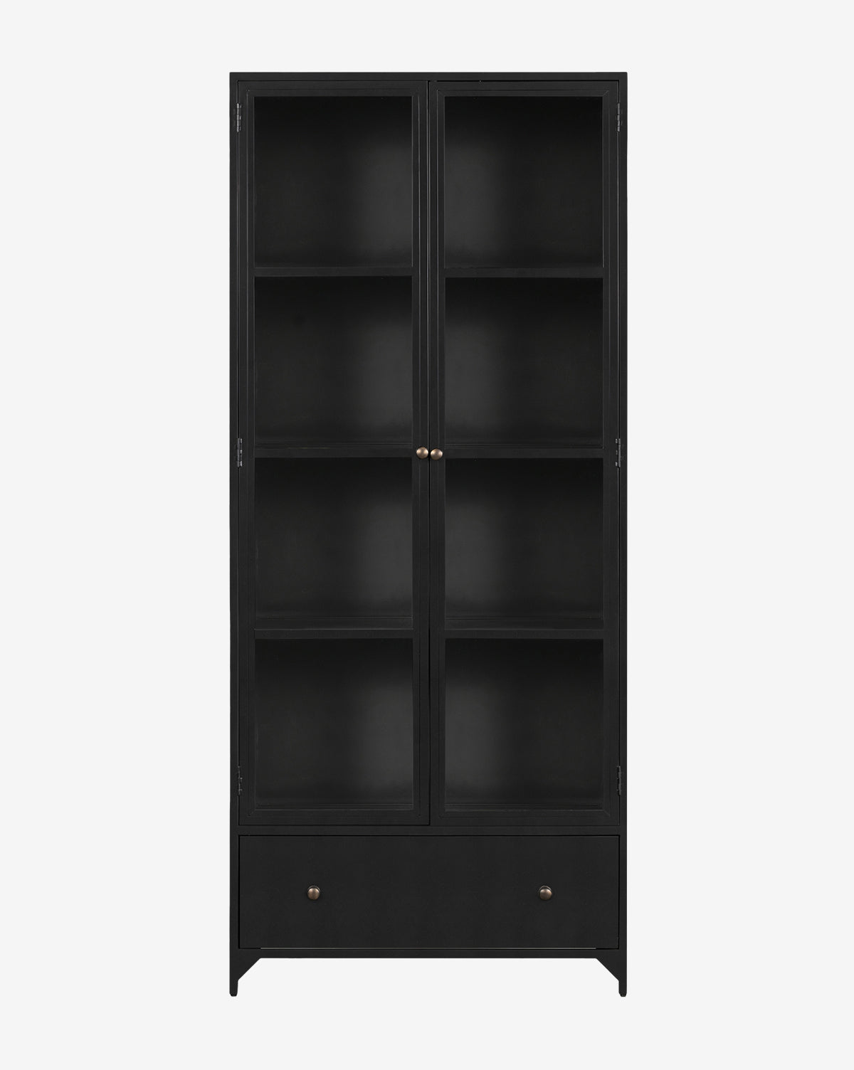Industrial Matte Iron Cabinet with Brass Hardware & Crescent Legs for Living Room